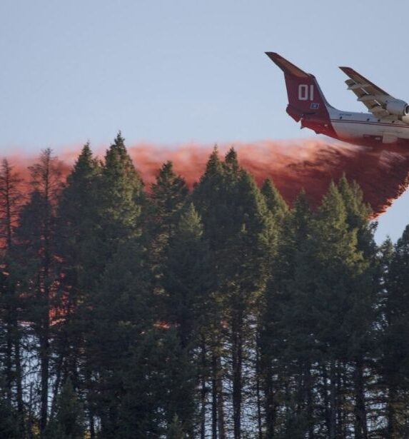 41492169990_f6564cceb1_k2 Airtanker dropping fire retardant from the air onto a forested area. The Pioneer Fire, Boise National Forest, Idaho, 2016. (Forest Service photo by Kari Greer)