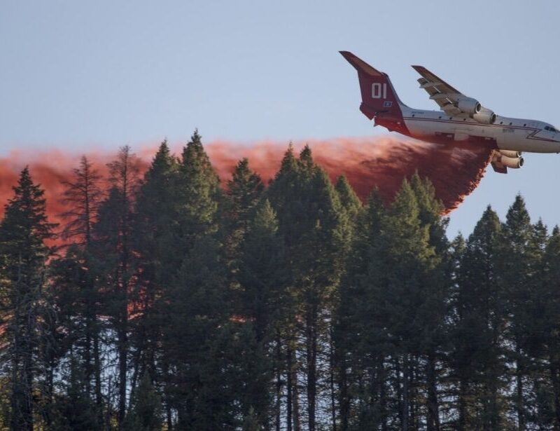 Airtanker dropping fire retardant from the air onto a forested area. The Pioneer Fire, Boise National Forest, Idaho, 2016. (Forest Service photo by Kari Greer)