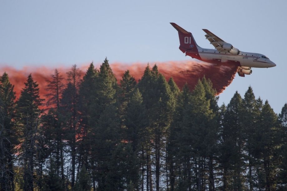 From 182 Data Centers to the Cloud: Cynerge’s Journey with the U.S. Forest Service