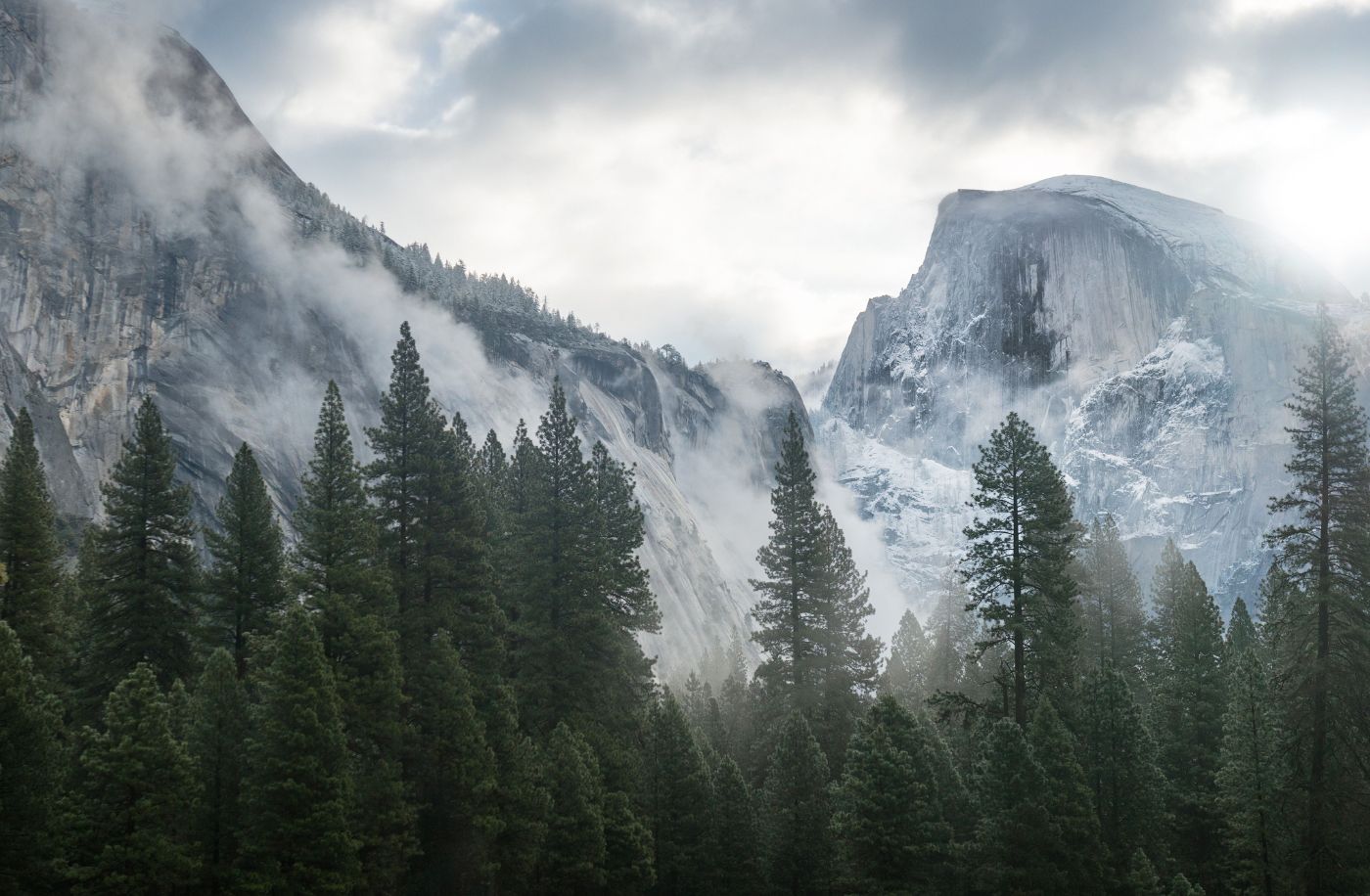 Boss Application Manages Day-to-Day Operations for USFS Rocky Mountain Research Station