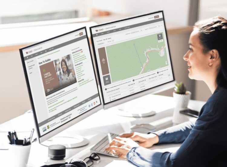 woman staring at two computer screens